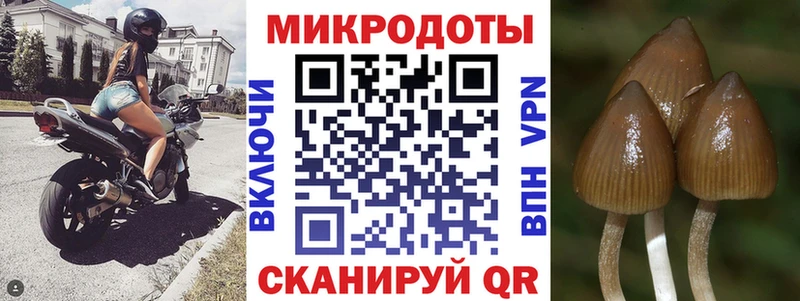 Галлюциногенные грибы Psilocybine cubensis  Семёнов 